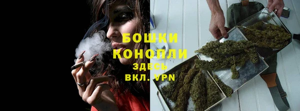 PSILOCYBIN Богородск