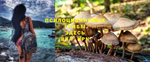 гашик Беломорск